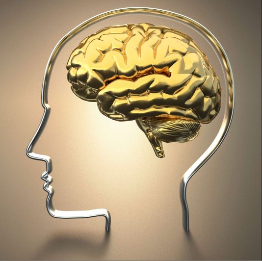 Entendendo o longo texto de Vitalik: Por que pessoas inteligentes devem seguir “regras aparentemente burras”?