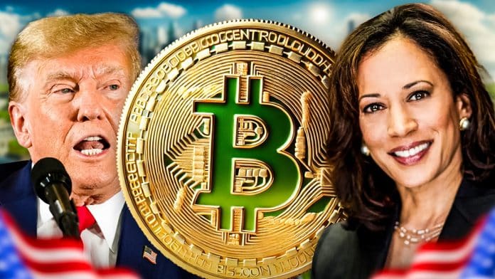 Bitcoin News: Harris oder Trump? Egal! Neue Prognose: BTC wird „unabhängig vom Wahlergebnis“ explodieren image 1