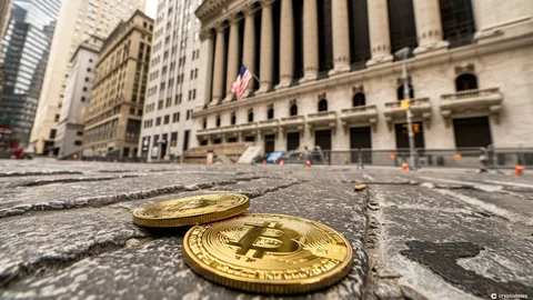 Bitcoin Spot ETFs See 13 Consecutive Days of Net Inflows, Maintaining Strong Momentum