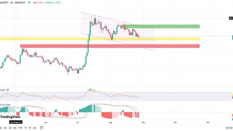 XLM stagne sous la résistance, des flux positifs visent un rallye à 0,45 $