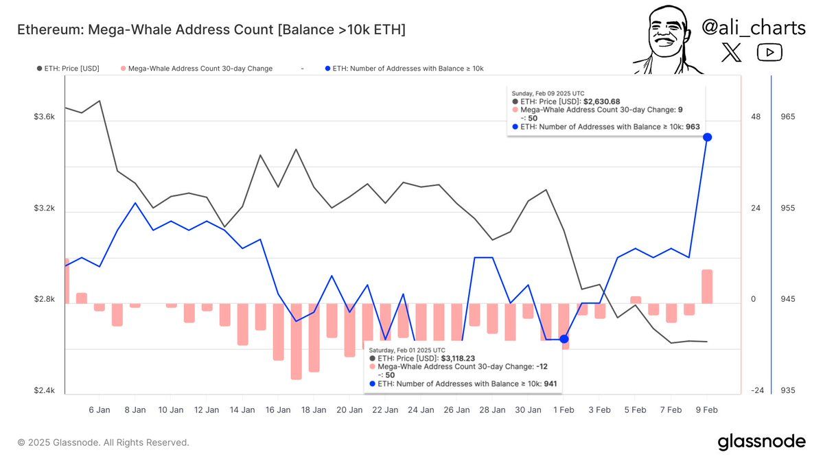 Ethereum Price Set for a Shift as Large Holders Buy In image 1