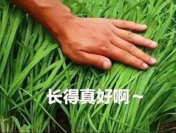 如何做好空投预期管理：项目方“大格局”的正确展开姿势 image 5