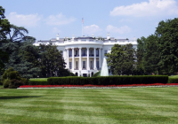 The Federal Reserve stirs up waves, Trump steps in to disrupt, and the crypto world suffers.