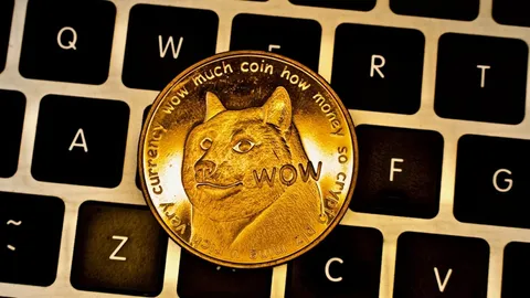 Dogecoin Sees Significant Growth in Holder Count, Outpacing Other Altcoins