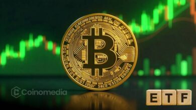 Altcoins Surge as BTC ETFs See $151M Outflow