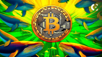 Bitcoin Bull Run: On-Chain Data Signals Surge
