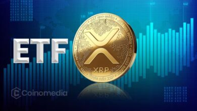 XRP, ETH, and BTC ETFs See Inflows, SOL Dips