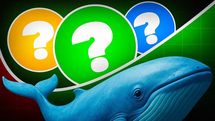 Mehr als 3,1 Milliarden Dollar! Mitten im Krypto Crash: Wale kaufen, kaufen, kaufen – das sind ihre Lieblings-Coins image 0