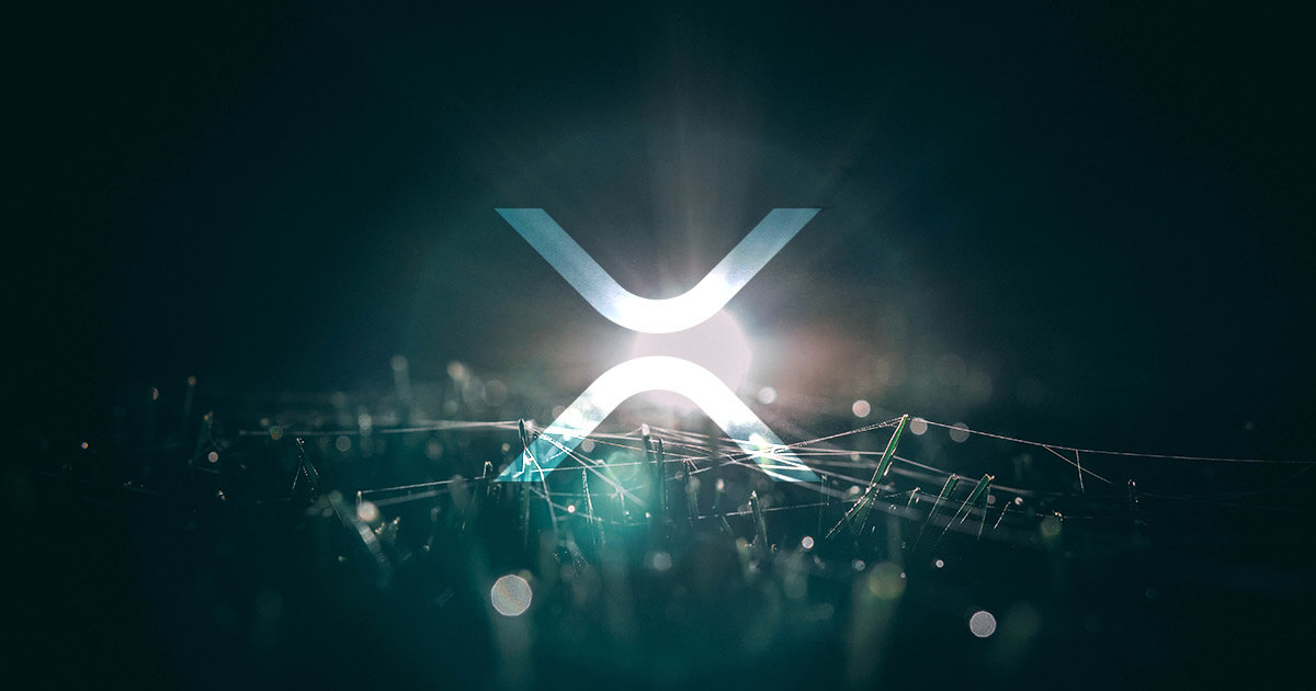 XRP-Einführung erreicht Rekordhoch, da Inhaber über kurzfristigen Preisverfall hinausblicken
