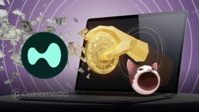 Hyperliquid’s HLP Vault Hit by $5M POPCAT Attack
