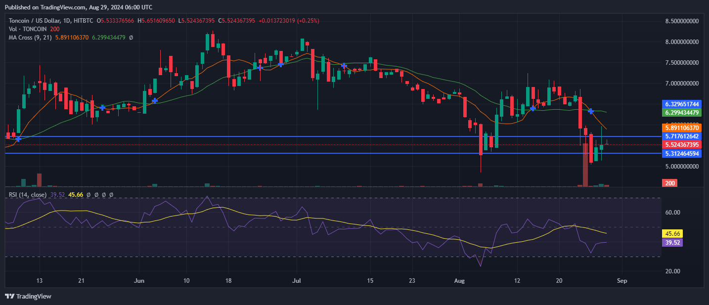 Toncoin (TON) Price Jumps As Block Production Resumes image 1