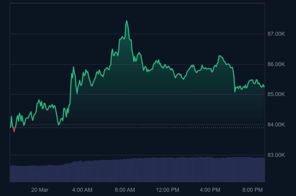 Le Bitcoin stagne vers 84 000 $ alors que la prévente d’un meme coin BTC dépasse 3,8 millions de dollars image 1