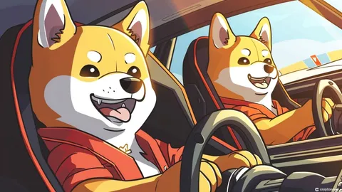 Dogecoin Holders Shift to This New Play-to-Earn ICO, Targeting 1,976% Gains