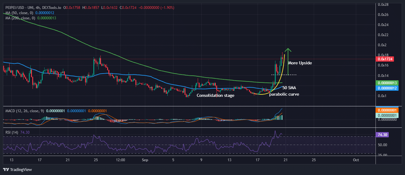 PeiPei Price Prediction: PEIPEI Soars 32% As This New PEPE Upgrade Rockets Past $14 Million In Presale image 0