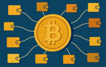 エルサルバドル、ビットコイン準備金を14ウォレットに分散し量子リスクに対応