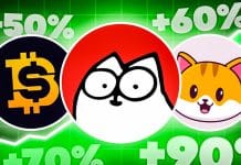 +71,23% in 24h! ShibaBitcoin, Simon’s Cat & CateCoin explodieren: Sollte man die Memecoins kaufen?