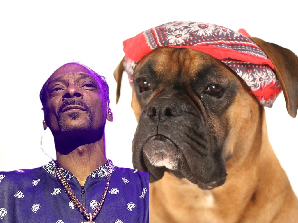 Snoop Dogg 表示不再使用 Spotify，透露個人音樂作品將遷移至 Web3 音樂平台 Tune.FM image 0