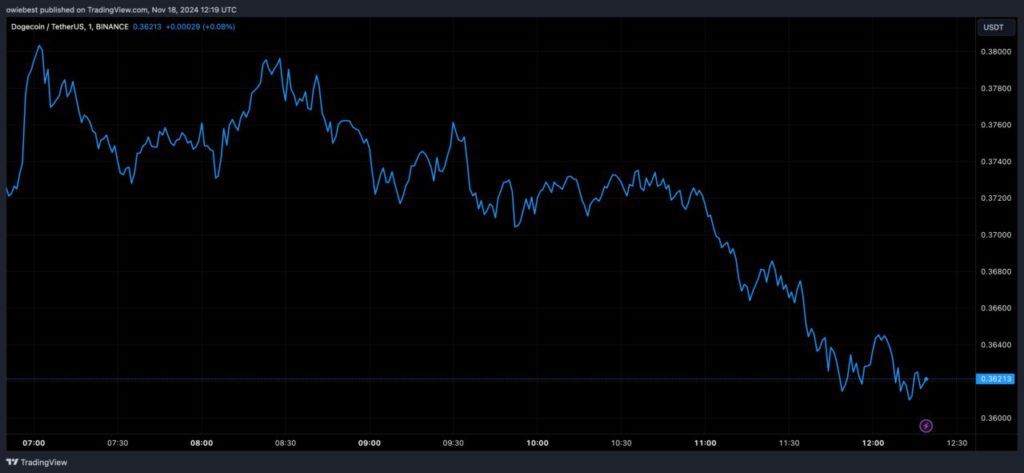 Dogecoin Menggila! Transaksi Besar Melonjak 41%, Akankah Harga Mengikuti? (20/11/24) image 0