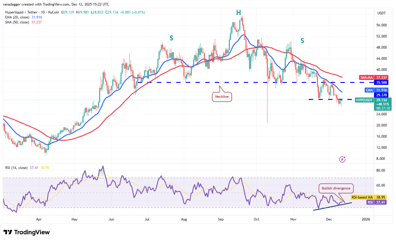 Previsioni dei prezzi 12/12: BTC, ETH, BNB, XRP, SOL, DOGE, ADA, BCH, HYPE, LINK image 9