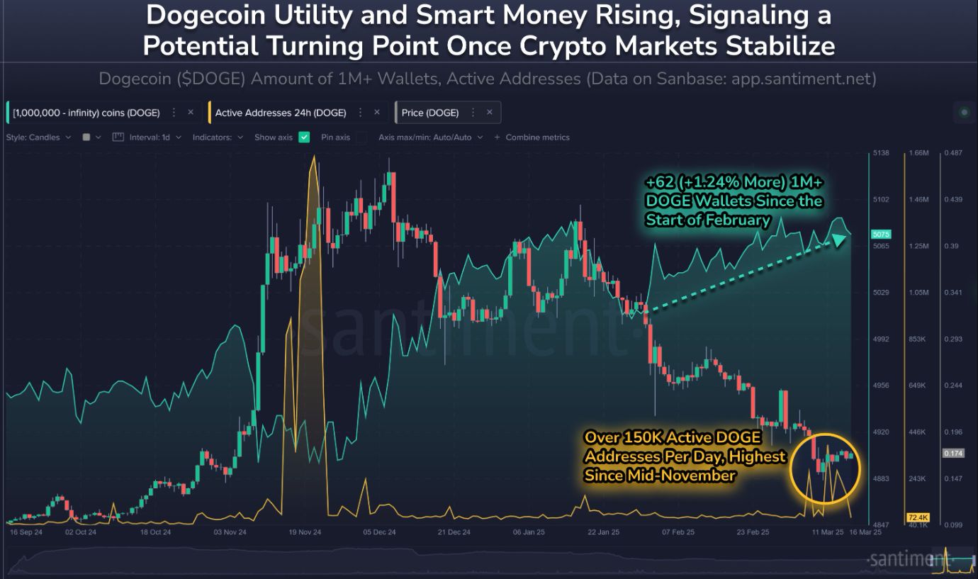 Các triệu phú Dogecoin đang mua dip khi giá hướng đến mức tăng 30% image 0