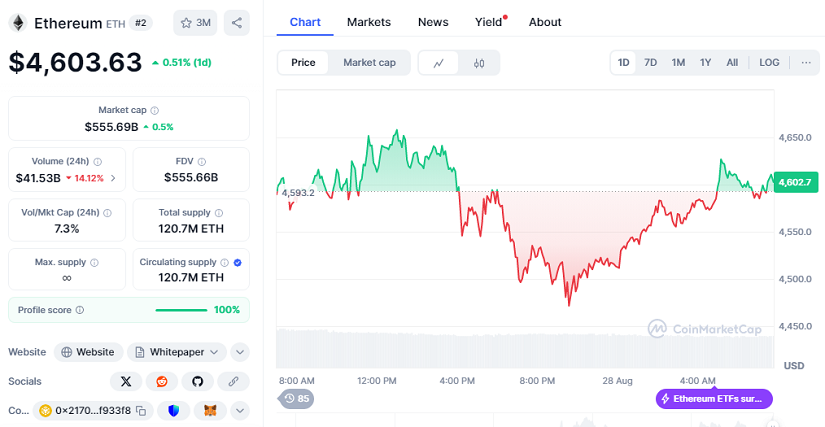 Ethereum Se Perfila Para Dominar Mientras Los Bancos Se Preparan Para La Adopción De Stablecoins, Según El CEO De VanEck