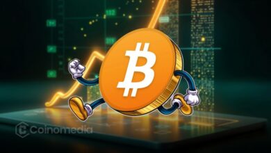 Bitcoin Whale Holdings Surge Past 100K BTC