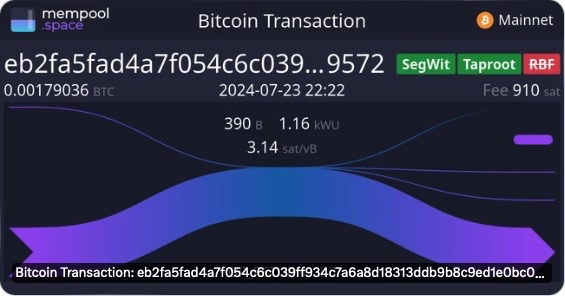 Fractal、OP_NET、AVM、BRC100、可编程符文，BTC 还有哪些扩展方案？ image 2