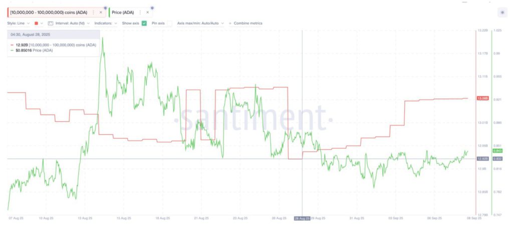 3 Crypto Made in USA yang Diserok Whale dan Smart Money Saat Ini image 4
