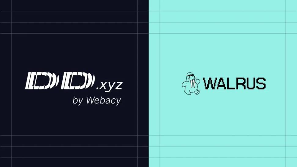 Webacy 利用 Walrus 技术构建链上风险分析决策层 image 1