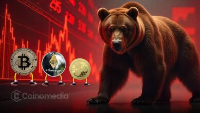 Altseason Always Follows the Bear Trap