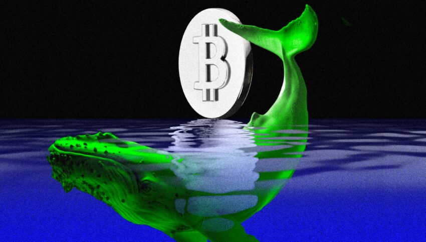 ビットコインの上昇は米国の買い手が主導 — 市場リスクはあるか