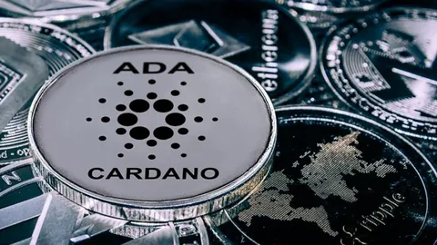 Here is What Sets Apart Cardano rom Other Top Cryptocurrencies