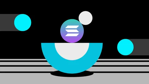 Decoding the Solana Memecoin Presales Saga