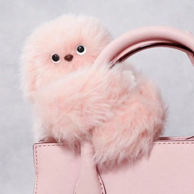 What is Mirumi (MIRUMI): Speculative Solana Meme Asset and Market Sentiment Analysis image 1