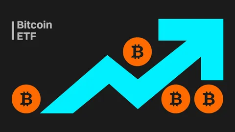 D-1 Until The Dawn of Spot Bitcoin ETFs: BTC Price to $47K and What Lies Beyond SEC Approval