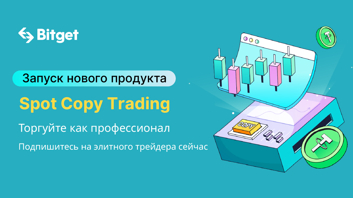 Полное руководство по Spot Copy Trading Bitget