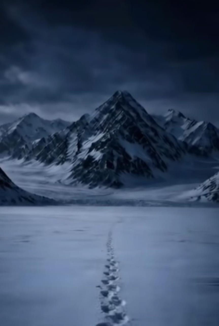 What is The Mountain (MOUNTAIN) Coin: Solana Narrative Asset of DEX Trading and Holder Growth image 1