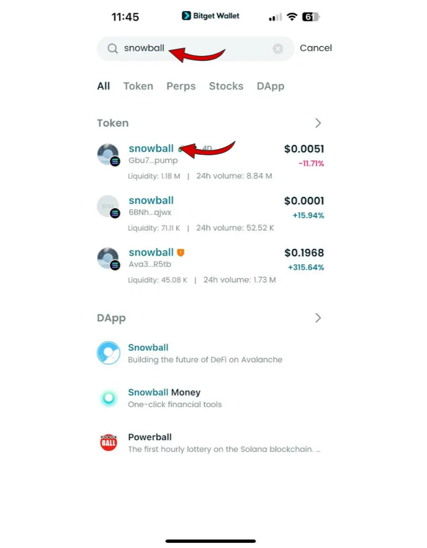What is Snowball (SNOWBALL): Solana Meme Token Built on Viral Momentum and Community Liquidity image 5