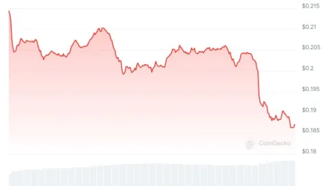 Dogecoin (DOGE) Price Crashes 14% Amid Broader Market Pullback