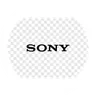 Sony Group Corp (Derivatives)