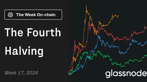 Glassnode Insights: The Fourth Halving