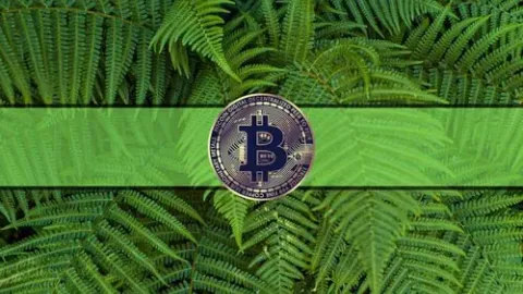 This is How Bitcoin Can Reach $1 Million in a Year