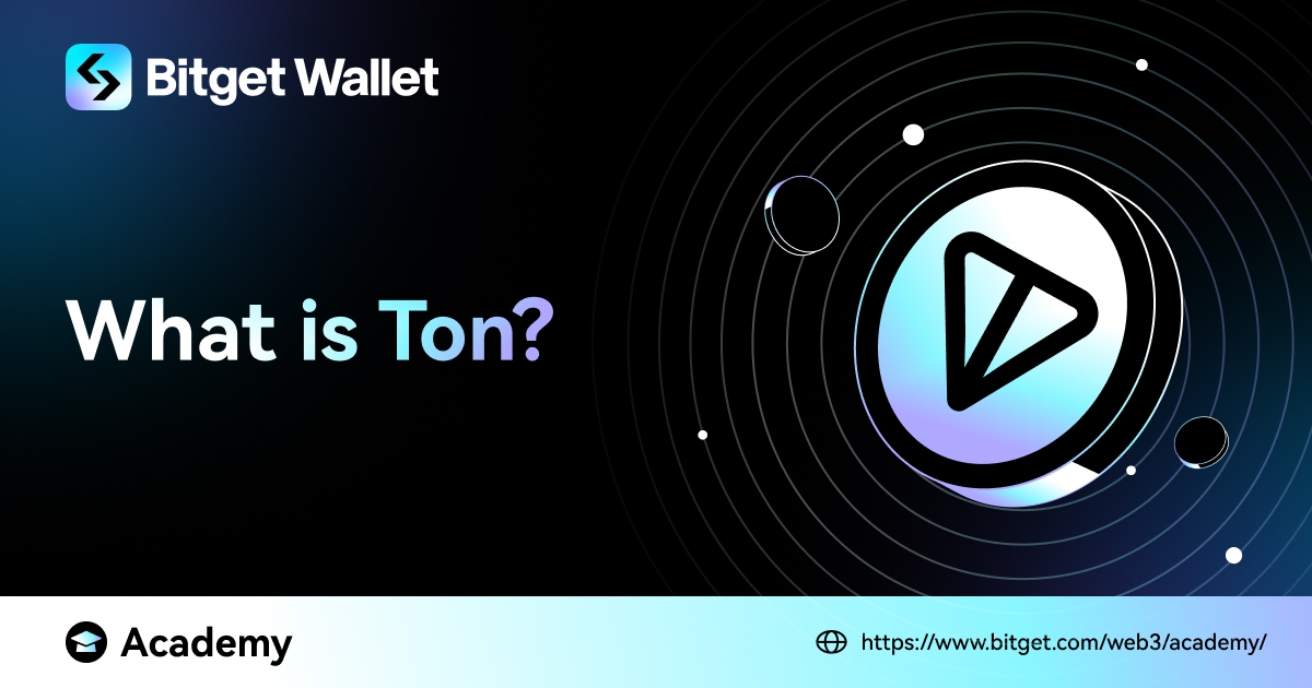 What is TON? image 0