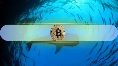 230,000% ROI in a Decade: Dormant Bitcoin Whale Awakes as BTC Price Heads Toward $70K