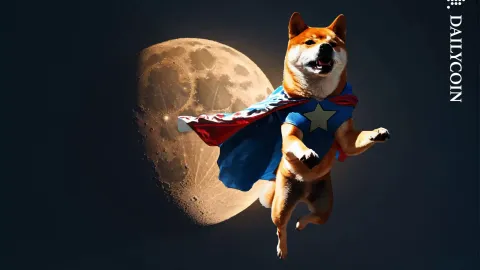DOGE Sees Extended Bull Run Upon Entering New Macrotrend
