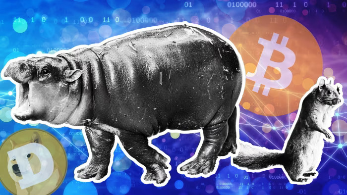 Best Memecoin Wallets 2026: Top Wallets for Solana, Ethereum, and BNB image 1