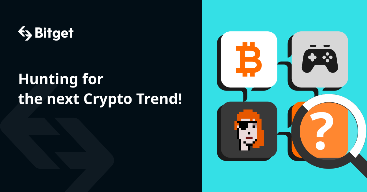 Hunting for the Next Crypto Trends