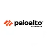 Palo Alto Networks Inc (Derivatives)