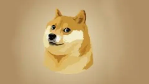 Dogecoin (DOGE) Slips: Can Bulls Rally at The Support Line?