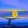Bitcoin Drops 10% Weekly But Big Players Stay in the Game